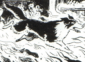 Black Bob, the "wisest sheepdog in Scotland"