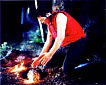 Panday discovers the meteor.